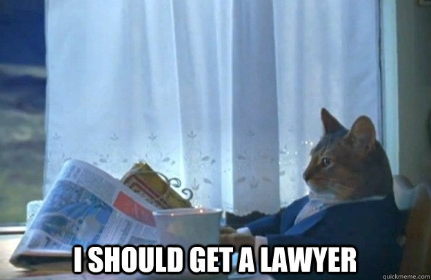  I Should get a lawyer -  I Should get a lawyer  Sophisticated Cat