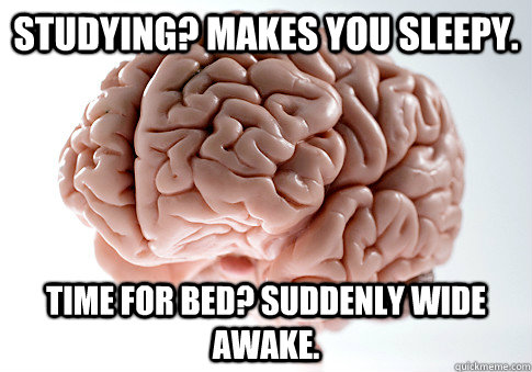 Studying? Makes you sleepy. Time for bed? Suddenly wide awake. - Studying? Makes you sleepy. Time for bed? Suddenly wide awake.  Scumbag Brain