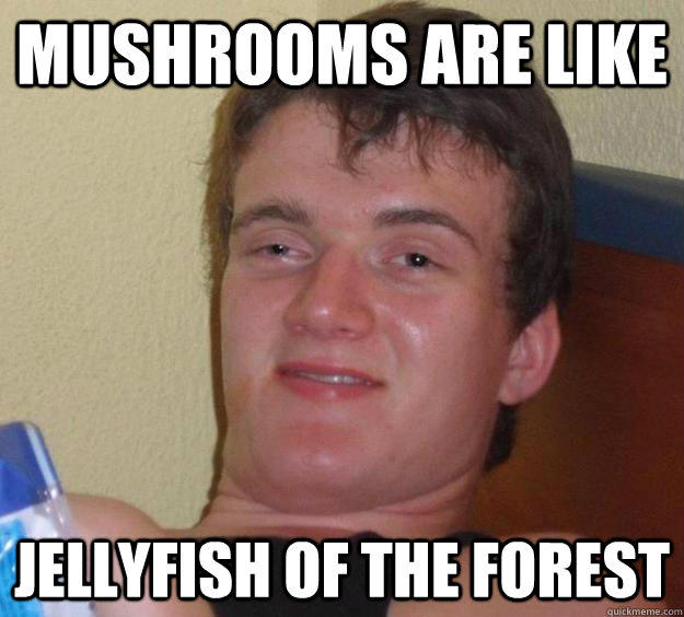 Mushrooms are like jellyfish of the forest  