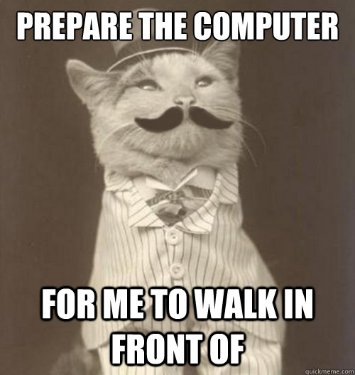 Prepare the computer  for me to walk in front of  Original Business Cat