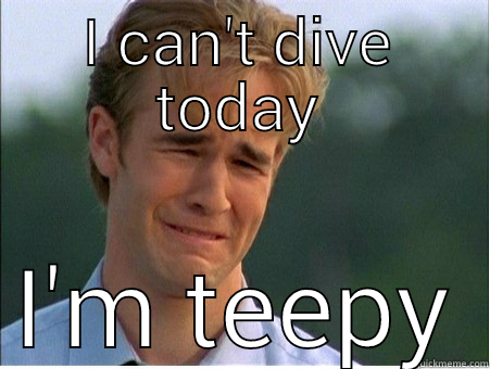 I CAN'T DIVE TODAY I'M TEEPY 1990s Problems