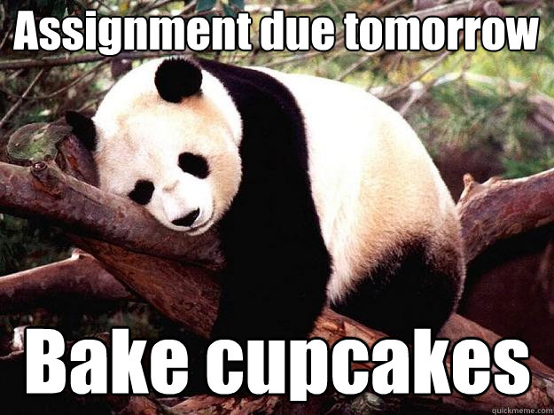 Assignment due tomorrow Bake cupcakes  Procrastination Panda