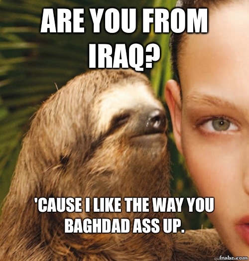 Are you from Iraq? 'Cause I like the way you Baghdad ass up.
  rape sloth