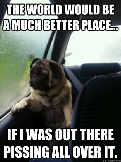 The world would be a much better place... If I was out there pissing all over it.  Introspective Pug