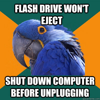 Flash drive won't eject Shut down computer before unplugging  Paranoid Parrot