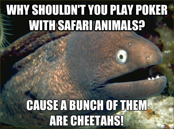 Why shouldn't you play poker with safari animals? cause a bunch of them 
are cheetahs!  Bad Joke Eel