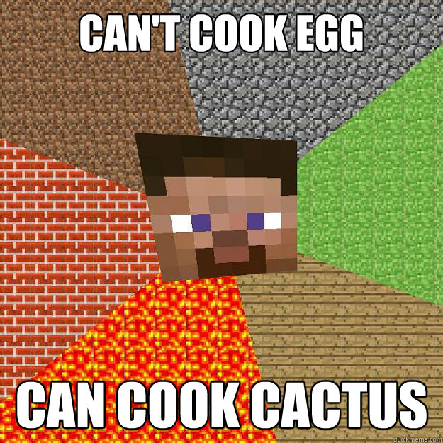 CAN'T COOK EGG CAN COOK CACTUS - CAN'T COOK EGG CAN COOK CACTUS  Minecraft