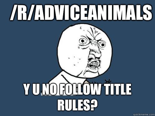 /r/adviceanimals y u no follow title rules? - /r/adviceanimals y u no follow title rules?  Y U No