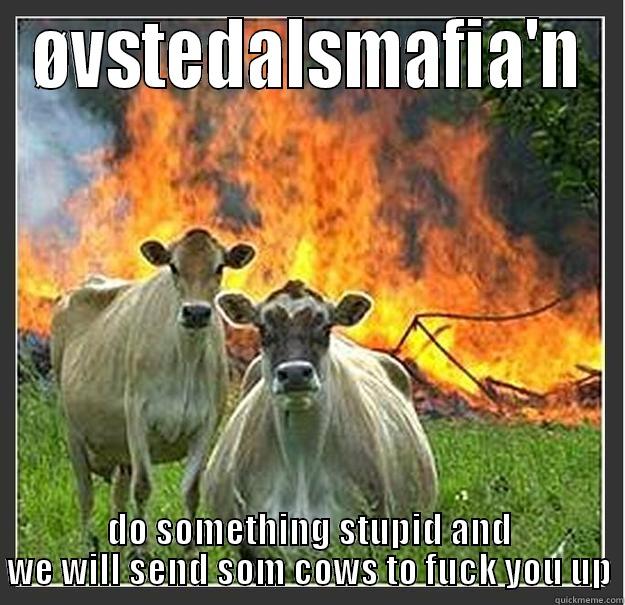 you fuck with tha cows - ØVSTEDALSMAFIA'N DO SOMETHING STUPID AND WE WILL SEND SOM COWS TO FUCK YOU UP Evil cows