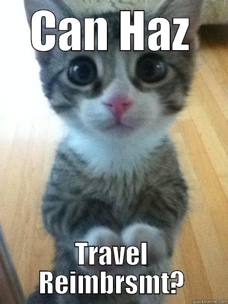 CAN HAZ TRAVEL REIMBRSMT? Misc