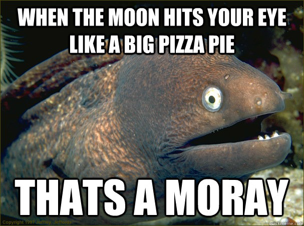 When the moon hits your eye like a big pizza pie thats a moray - When the moon hits your eye like a big pizza pie thats a moray  Bad Joke Eel