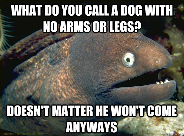 What do you call a dog with no arms or legs? Doesn't matter he won't come anyways  Bad Joke Eel