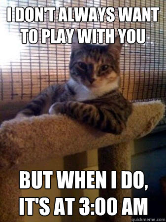 I don't always want to play with you But when I do, it's at 3:00 AM   The Most Interesting Cat in the World