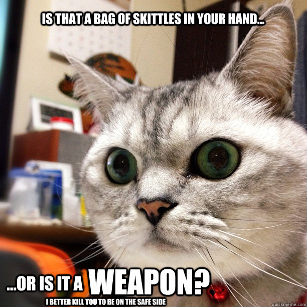 Is that a bag of skittles in your hand... ...or is it a  I better kill you to be on the safe side WEAPON? - Is that a bag of skittles in your hand... ...or is it a  I better kill you to be on the safe side WEAPON?  Paranoid Cat