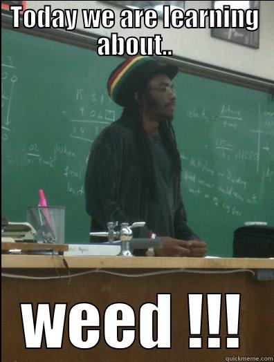 TODAY WE ARE LEARNING ABOUT.. WEED !!! Rasta Science Teacher