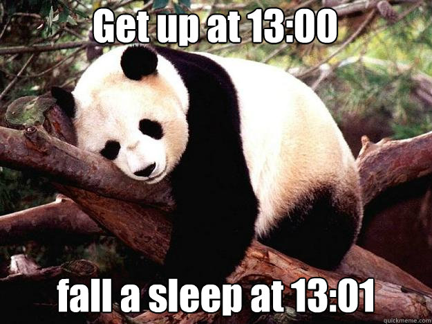 Get up at 13:00 fall a sleep at 13:01  Procrastination Panda