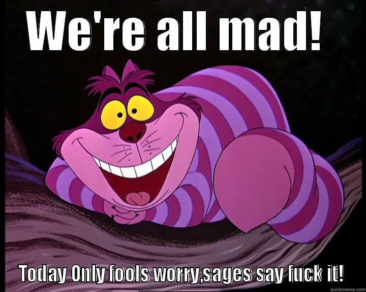 WE'RE ALL MAD!  TODAY ONLY FOOLS WORRY,SAGES SAY FUCK IT! Misc