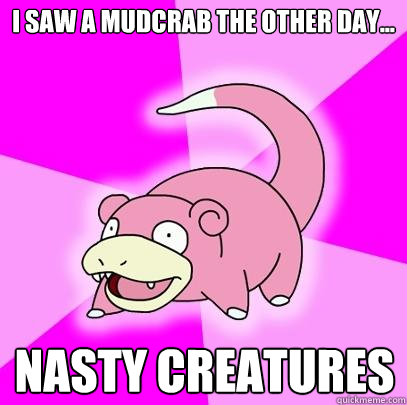 I saw a mudcrab the other day... nasty creatures  Slowpoke