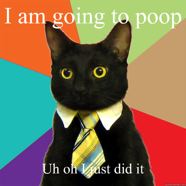 I am going to poop
 Uh oh I just did it  Business Cat