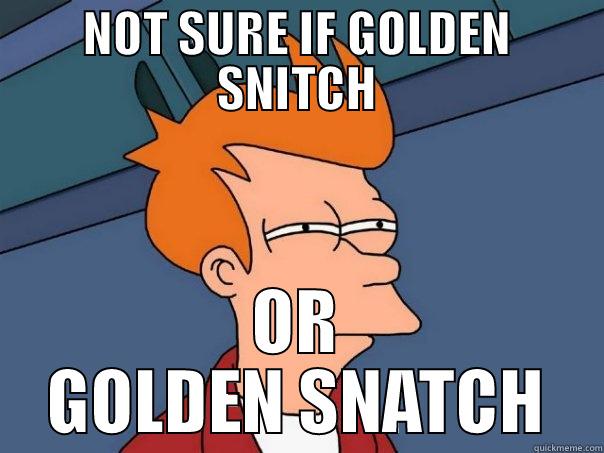 NOT SURE IF GOLDEN SNITCH OR GOLDEN SNATCH Futurama Fry