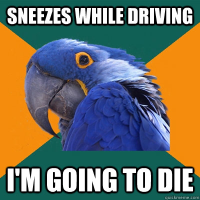 Sneezes While driving I'm going to die  Paranoid Parrot