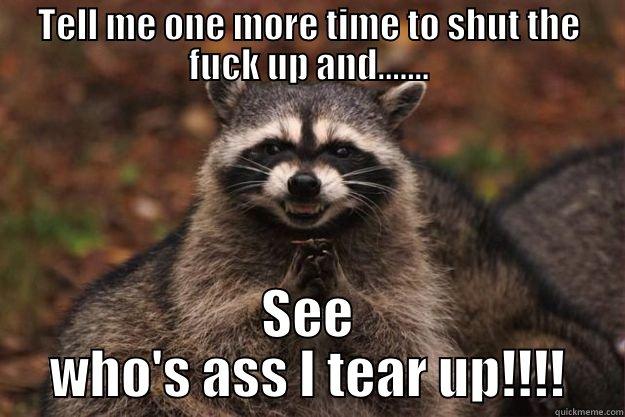 TELL ME ONE MORE TIME TO SHUT THE FUCK UP AND....... SEE WHO'S ASS I TEAR UP!!!! Evil Plotting Raccoon