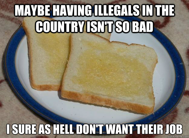 maybe having illegals in the country isn't so bad i sure as hell don't want their job - maybe having illegals in the country isn't so bad i sure as hell don't want their job  Slightly Racist Buttered Toast