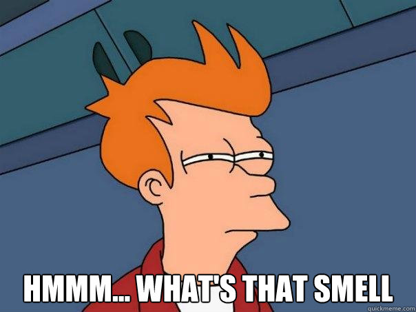  hmmm... what's that smell  Futurama Fry