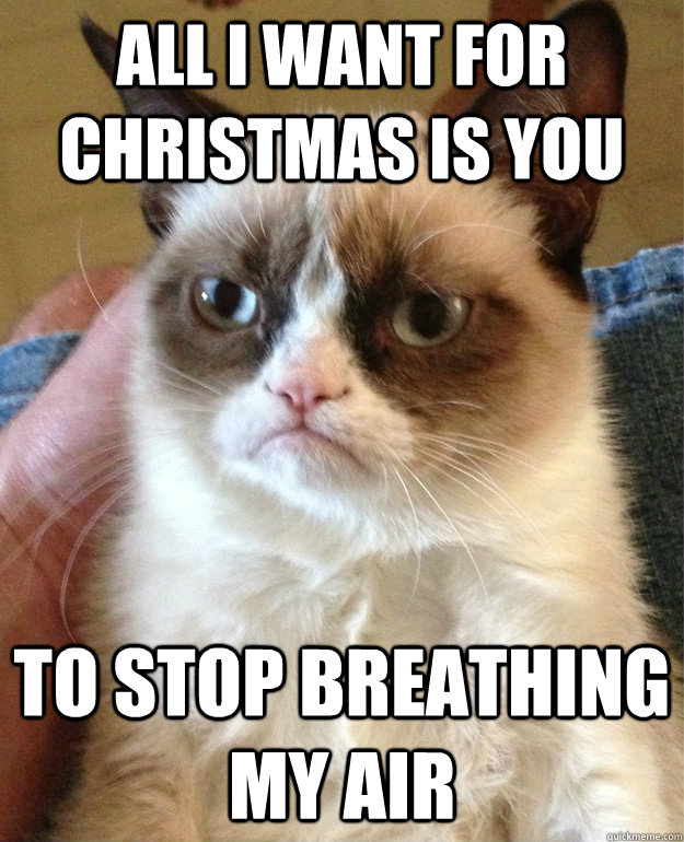 all i want for christmas is you to stop breathing my air  Grumpy Cat