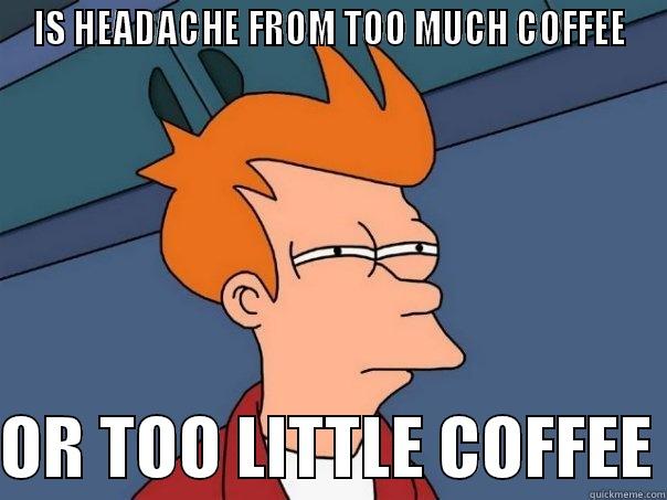 IS HEADACHE FROM TOO MUCH COFFEE  OR TOO LITTLE COFFEE Futurama Fry