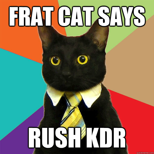 FRAT CAT says RUSH KDR  Business Cat