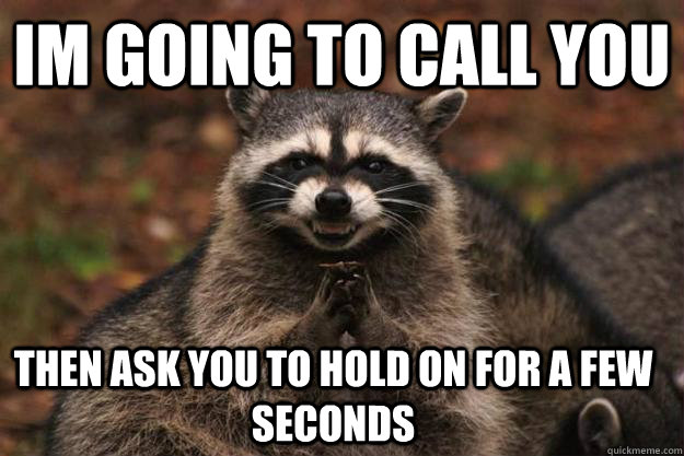 im going to call you Then ask you to hold on for a few seconds  Evil Plotting Raccoon