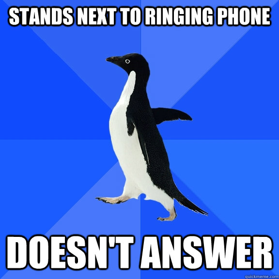 Stands next to ringing phone doesn't answer - Stands next to ringing phone doesn't answer  Socially Awkward Penguin