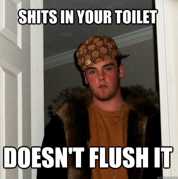 shits in your toilet doesn't flush it  Scumbag Steve