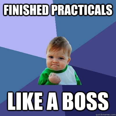 finished practicals like a boss - finished practicals like a boss  Success Kid