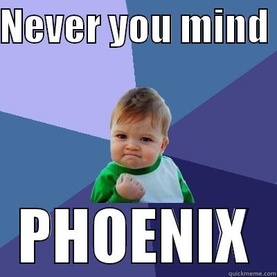 never you mind - NEVER YOU MIND  PHOENIX Success Kid