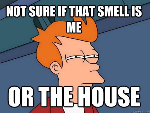 Not sure if that smell is me Or the house  Futurama Fry