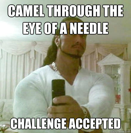 camel through the eye of a needle CHALLENGE ACCEPTED  Guido Jesus