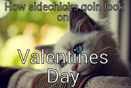 HOW SIDECHICKS GOIN LOOK ON  VALENTINES DAY First World Problems Cat