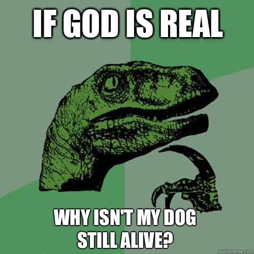 If god is real Why isn't my dog still alive?  Philosoraptor