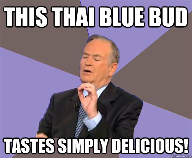 This Thai Blue bud tastes simply delicious!  Bill O Reilly