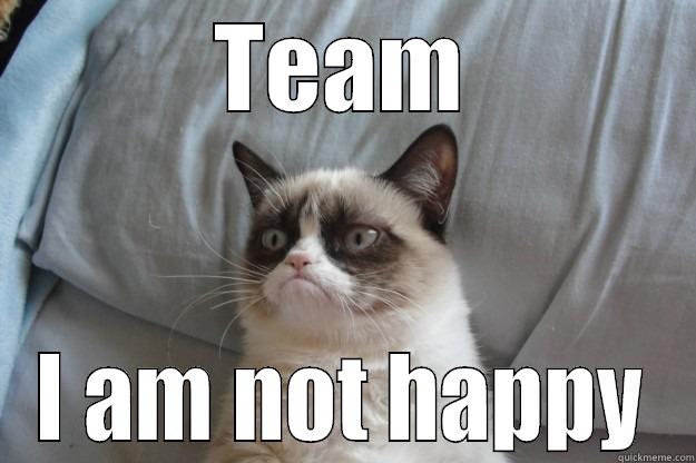 TEAM I AM NOT HAPPY Grumpy Cat