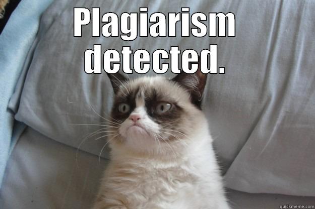 Shit professors say - PLAGIARISM DETECTED.  Grumpy Cat