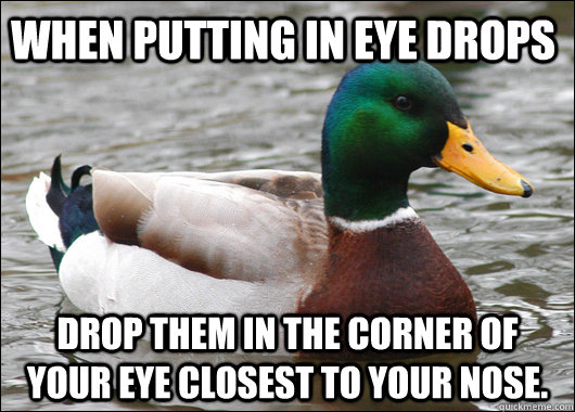 When putting in eye drops drop them in the corner of your eye closest to your nose.  - When putting in eye drops drop them in the corner of your eye closest to your nose.   Actual Advice Mallard