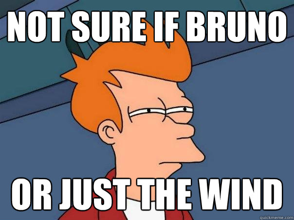 Not sure if Bruno Or just the wind  Futurama Fry