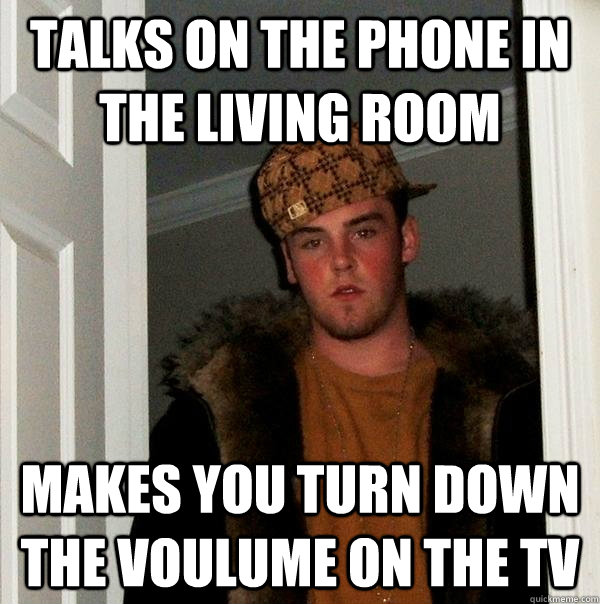 talks on the phone in the living room Makes you turn down the voulume on the tv  Scumbag Steve