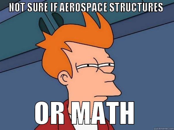 NOT SURE IF AEROSPACE STRUCTURES OR MATH Futurama Fry