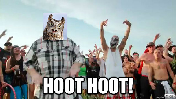  hoot hoot! -  hoot hoot!  Juggalowl