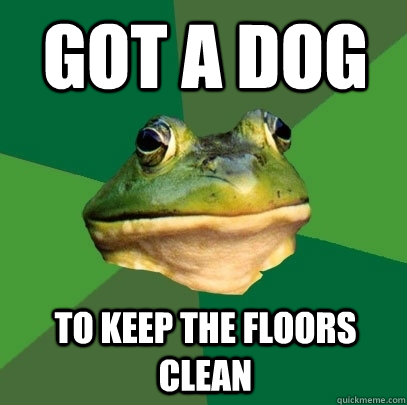 Got a dog To keep the floors clean  Foul Bachelor Frog