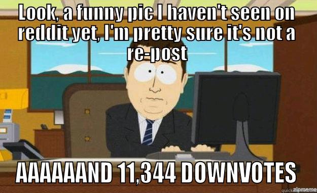 LOOK, A FUNNY PIC I HAVEN'T SEEN ON REDDIT YET, I'M PRETTY SURE IT'S NOT A RE-POST AAAAAAND 11,344 DOWNVOTES aaaand its gone